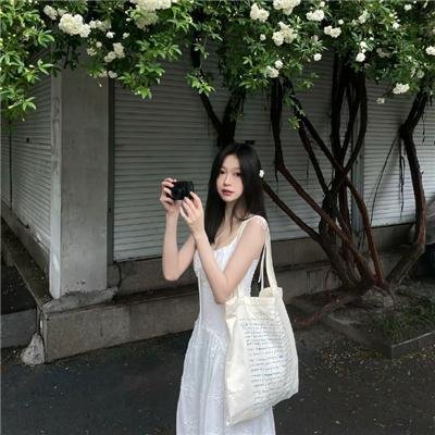 至高指令